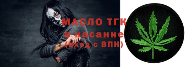 дживик Каменка