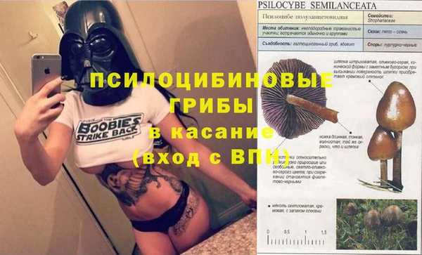дмт Алзамай