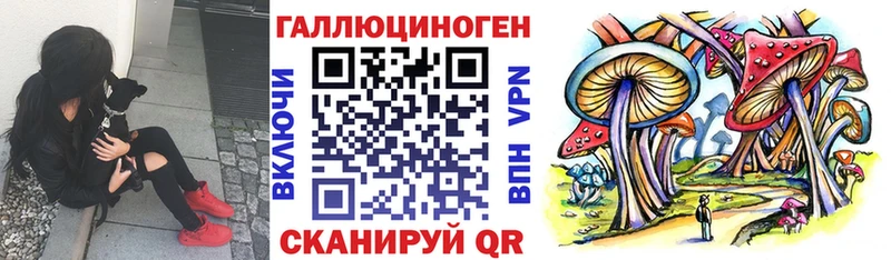 Галлюциногенные грибы мицелий  закладка  Лермонтов 